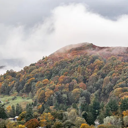Coppertrees